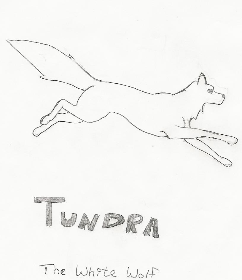 Tundra by bubblefield