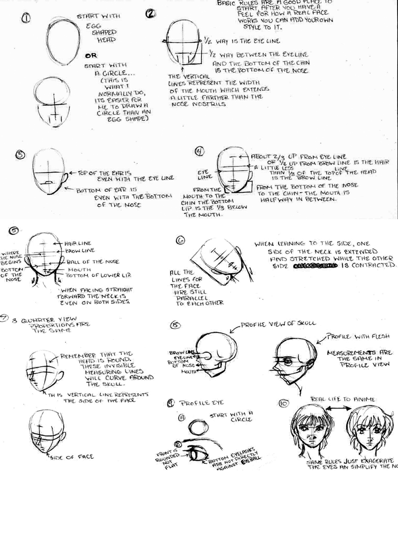 Face Proportion Tutorial by butterfly111585