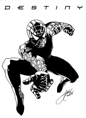 Spider-Man: Destiny by CRaYoNBoY