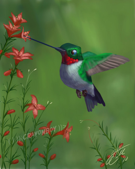 Hummingbird by CRaYoNBoY