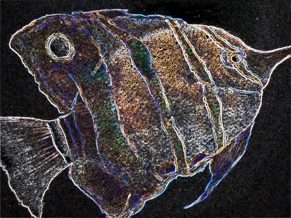 Tissue Box Fish - Reversed by CRwixey
