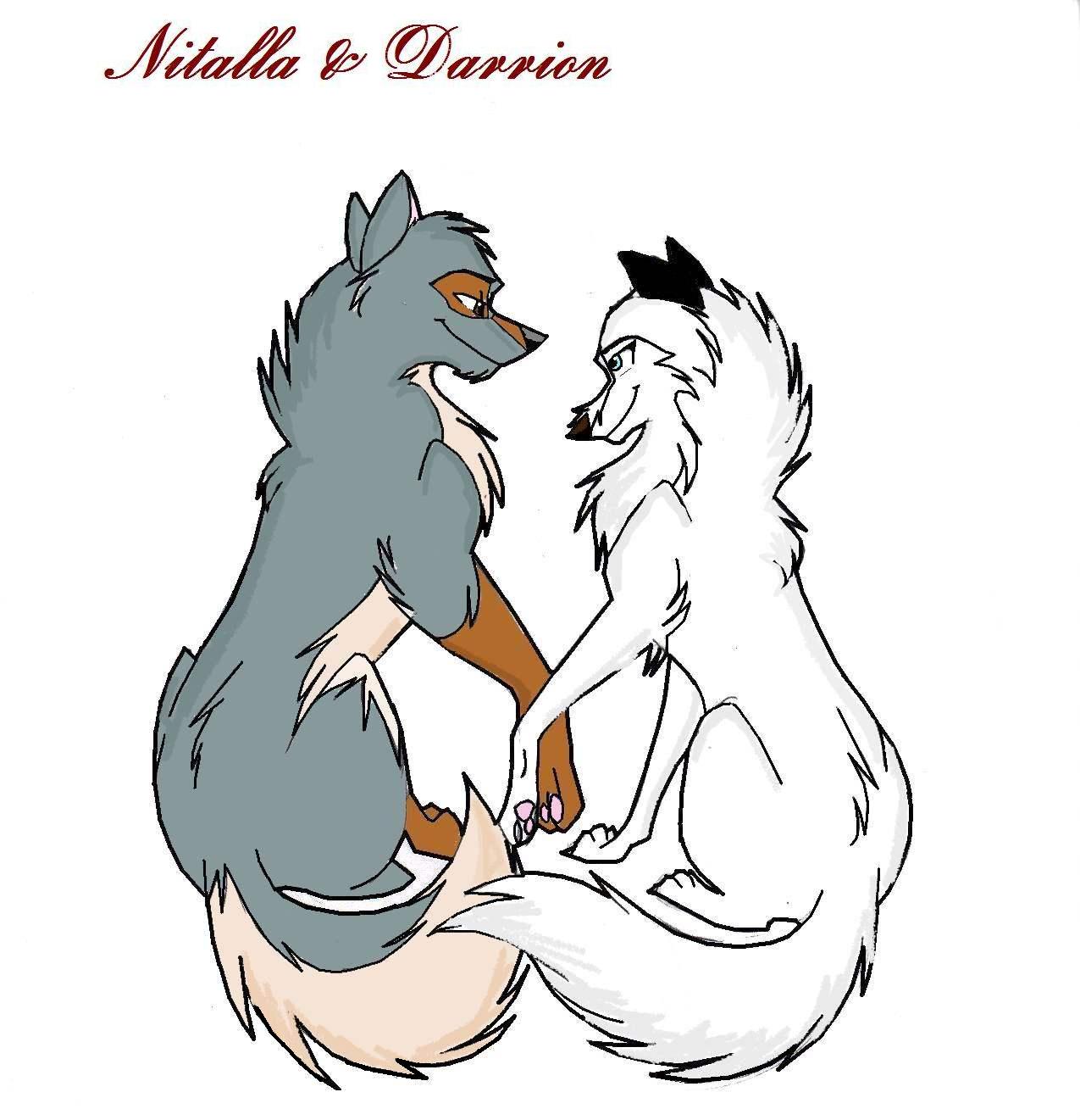 Nitalla and Darrion by CatLuvsZuko