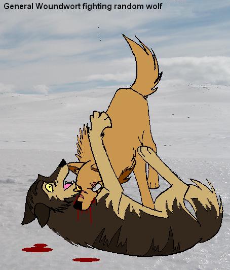 A very Balto semi-violent wolf scrimmage by CatWhoHas14Tails