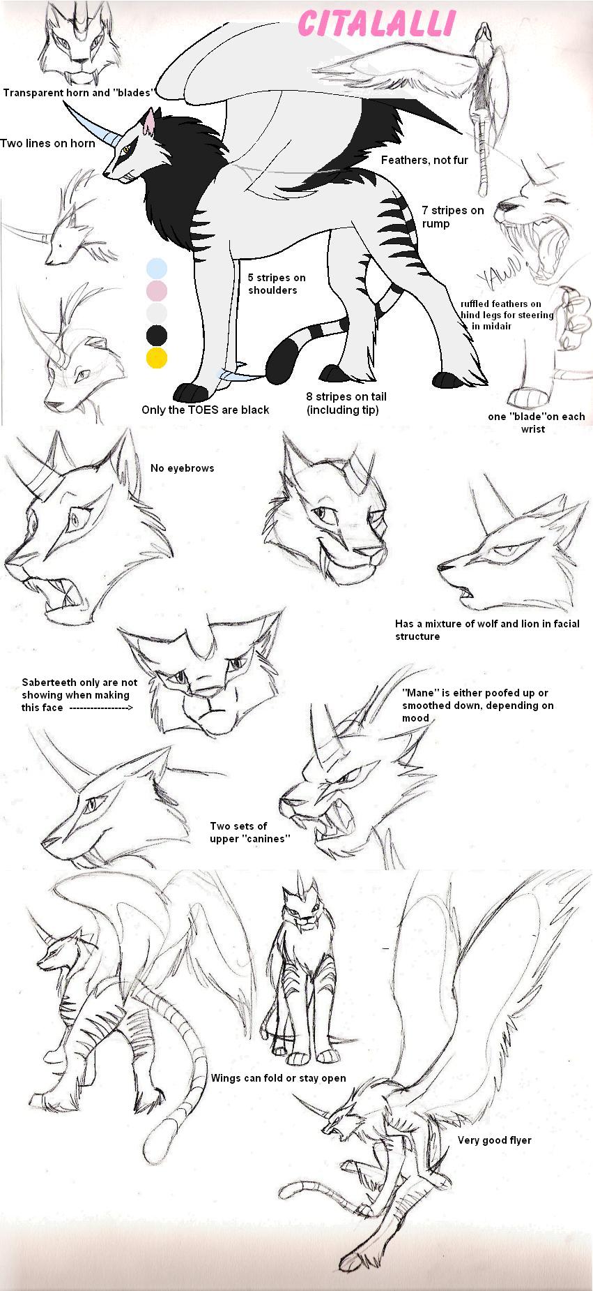 Cita reference sheets by CatWhoHas14Tails