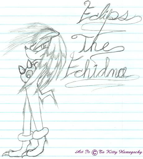 Eclips The Echidna by Catdragon66