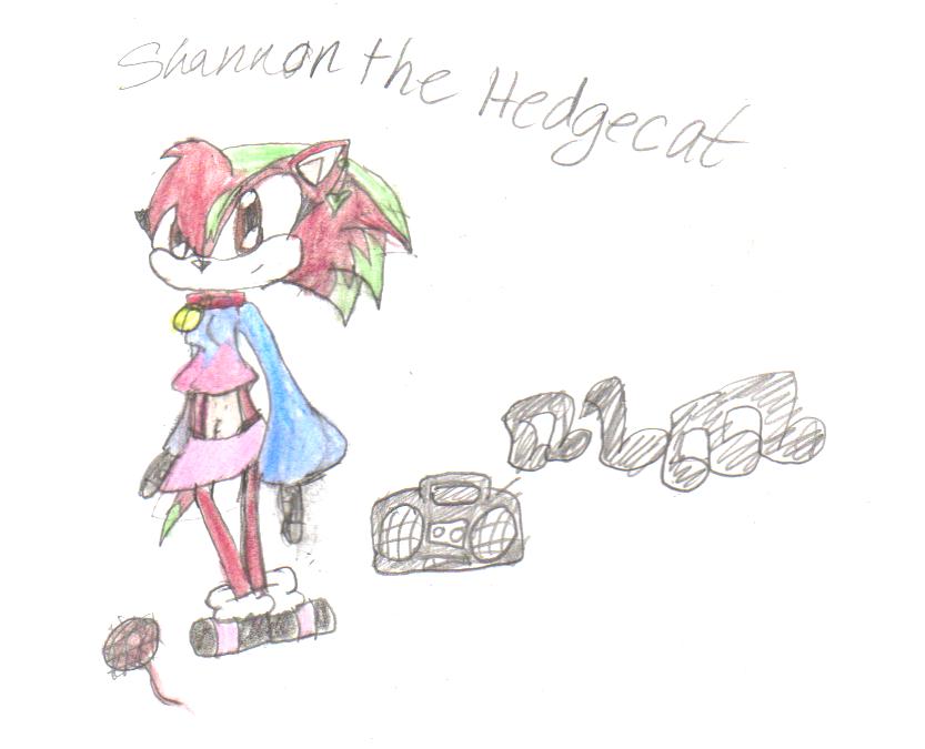 Shannon The Hedgecat by Catgirlrocks