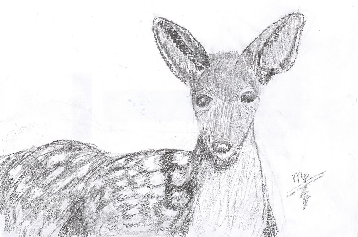 !Deer! by Celevita