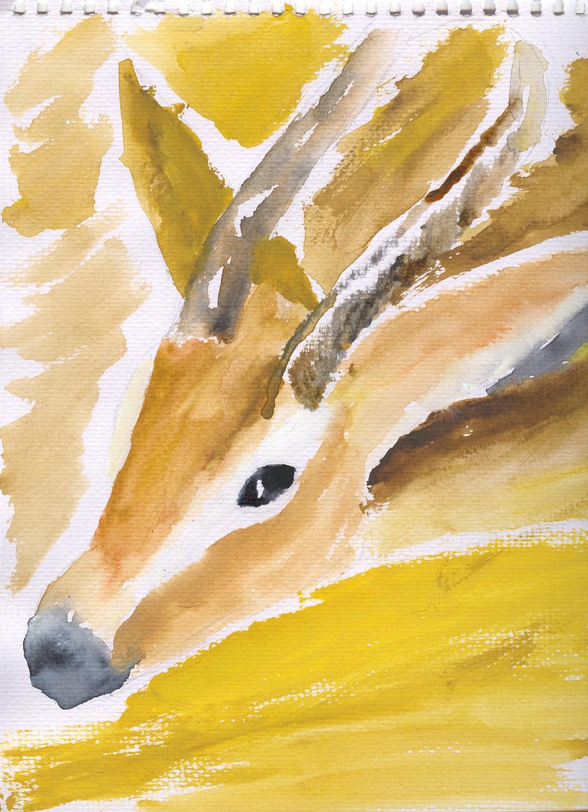 !Dessert Antelope ( watercolour)! by Celevita
