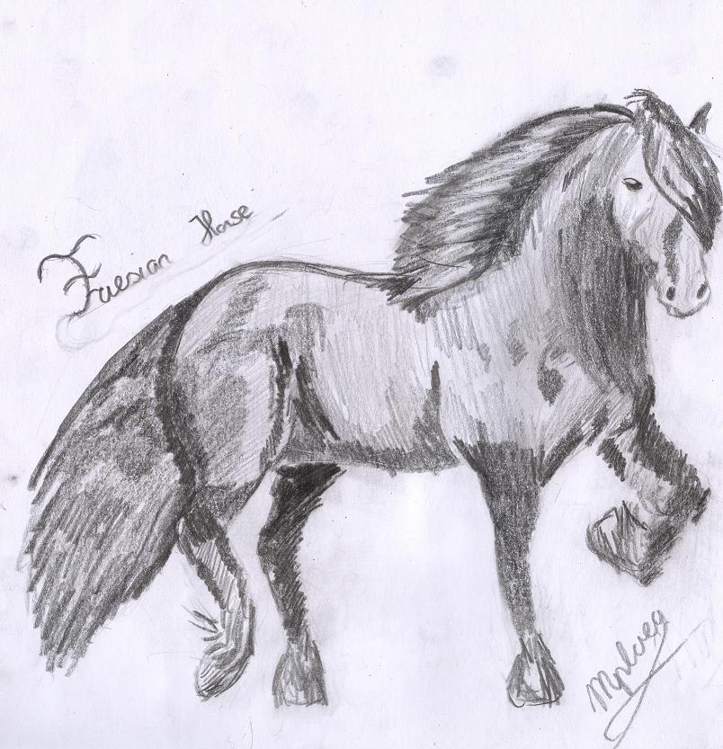 Friesian Horse by Celevita