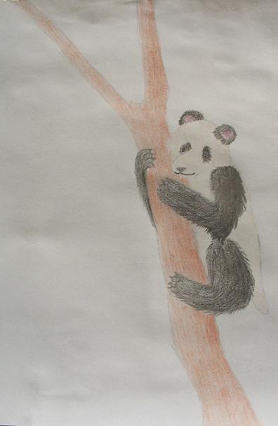Panda Bear In A Tree by CeruleanPaint
