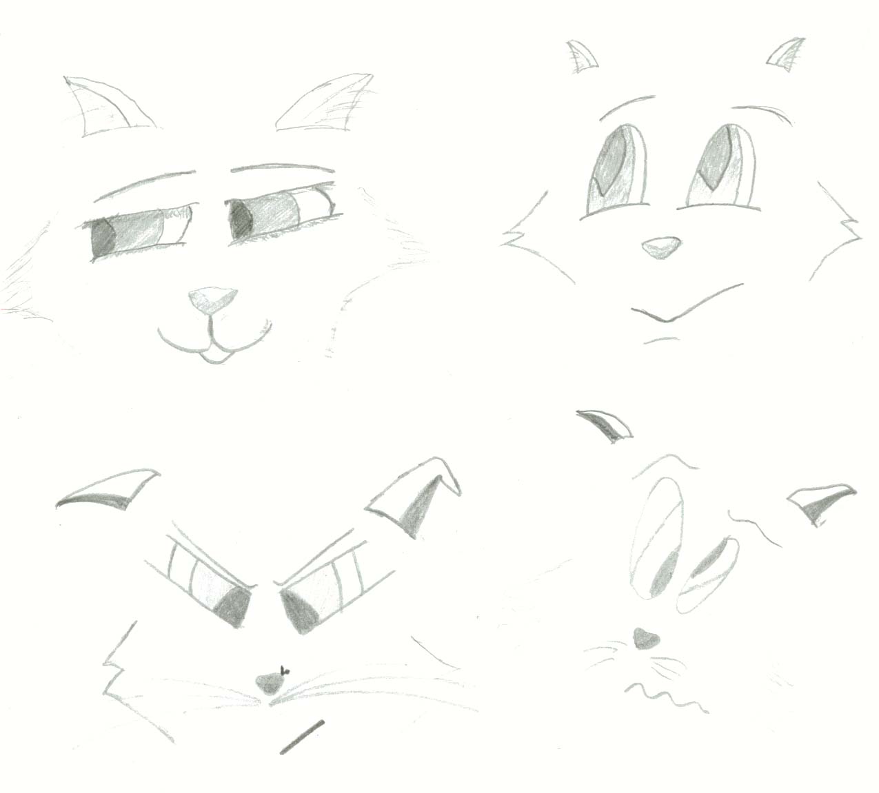 kitty faces by Chaos_Kitten