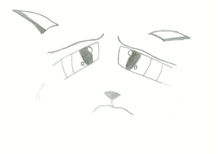 Sad Kitty Face by Chaos_Kitten