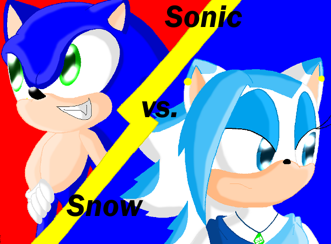 Battle 1: Sonic vs. Snow by Chaoskid