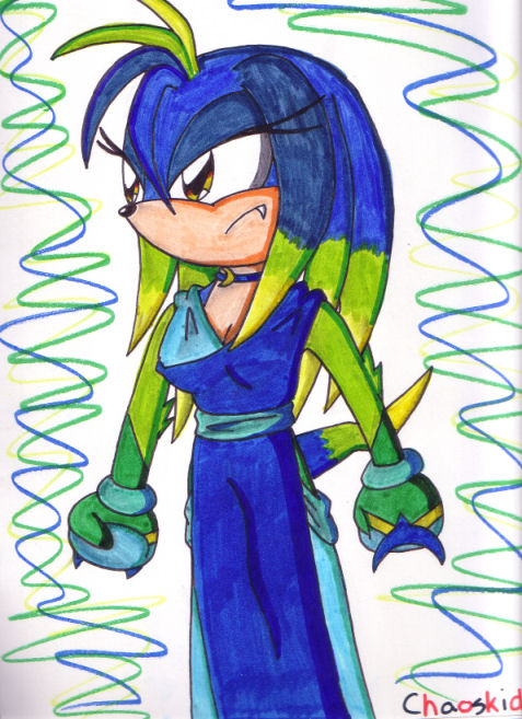 Aqua the Echidna by Chaoskid