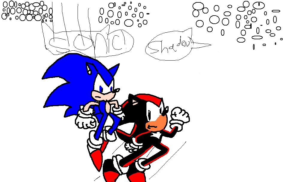 Sonic and Shadow Fighting by CharmyB2