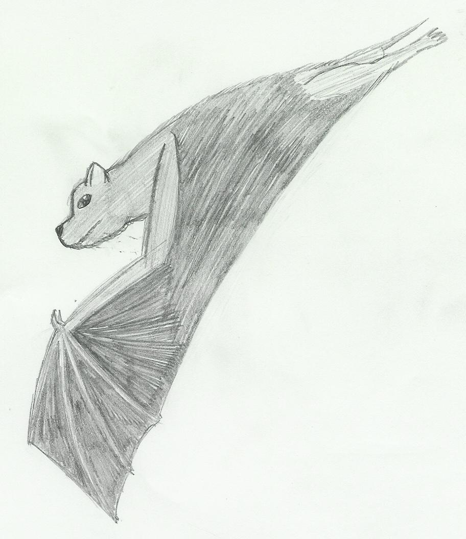 Flying Bat by CharonTheSabercat