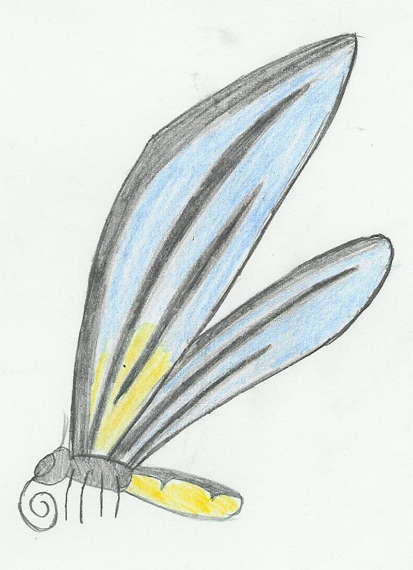 Queen Alexandra Bird Wing Butterfly by CharonTheSabercat