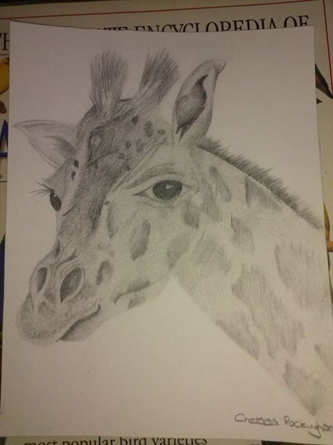 Giraffe by Chelsea93roc