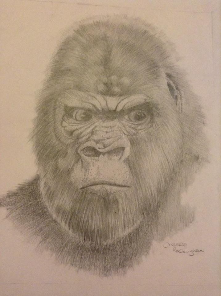 Gorilla by Chelsea93roc