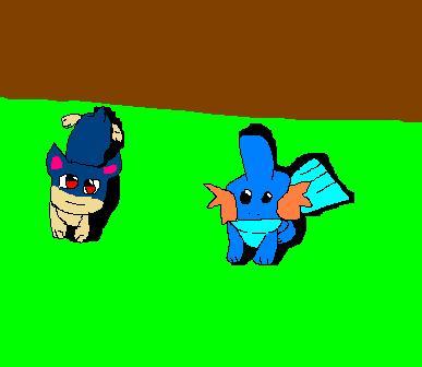 Mudkip & Quillava by Chi_In_The_World