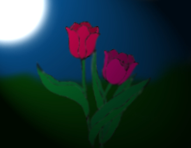 tulips of night by ChibiChocolate