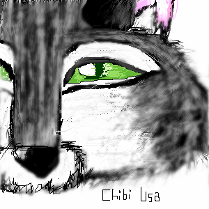Wolf-ish..Raccoon..thing by ChibiUsa