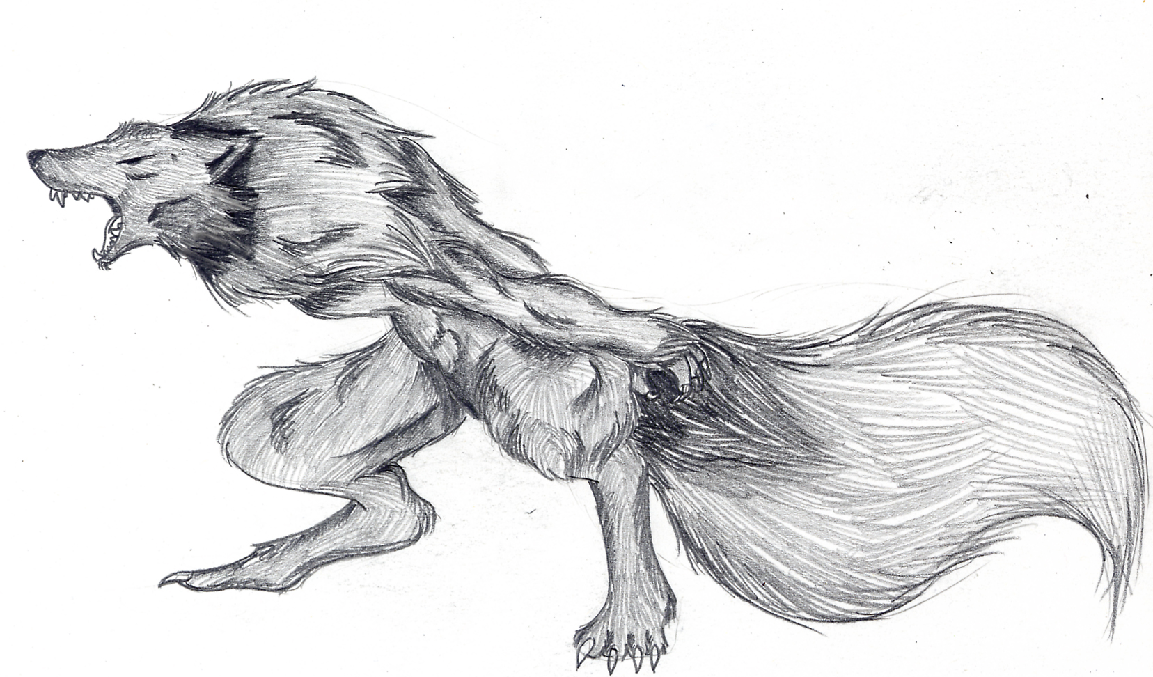 Werewolf by Chickibo