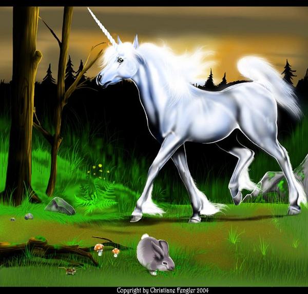 Unicorn in the wood by Christiane