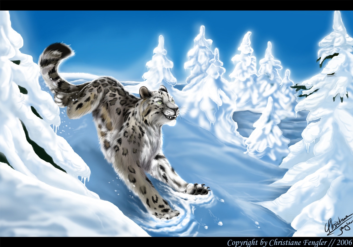 Snow leopard by Christiane