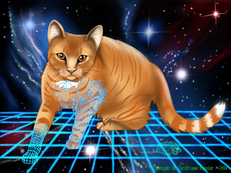 SPACE CAT by Christiane