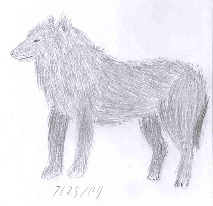 Wolf Sketch by Christina_the_Goldenfox