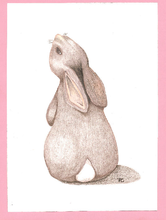 Lyana's Rabbit by Cobrafoxy