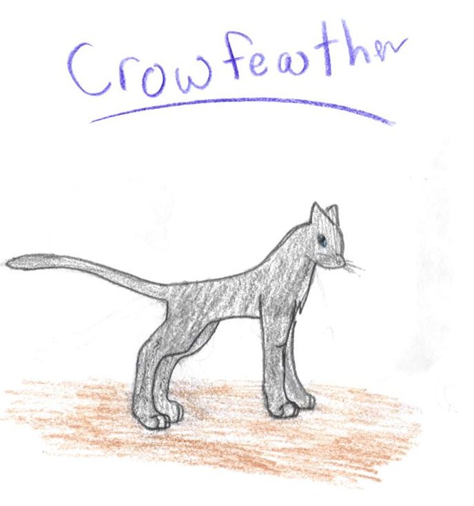 Crowfeather by CoconutMangoFox