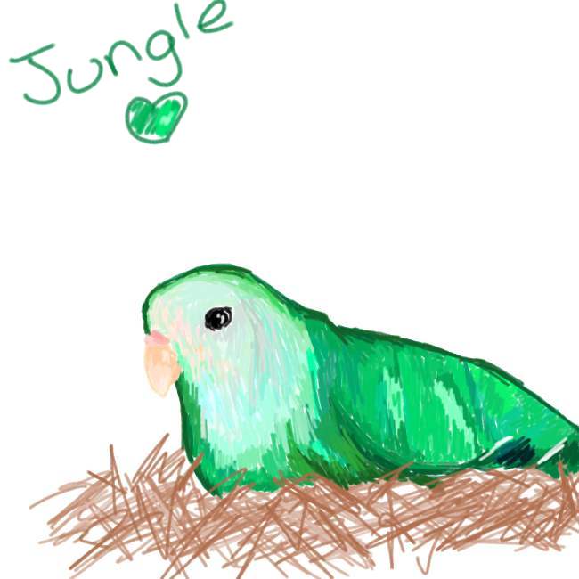 *I heart my Jungle bird by Corgi23