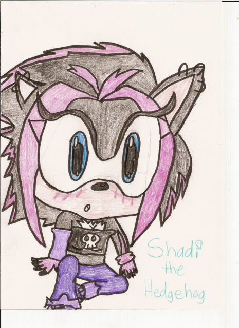 Shadi the Hedgehog, Shadow's Twin Sister by Cornelia