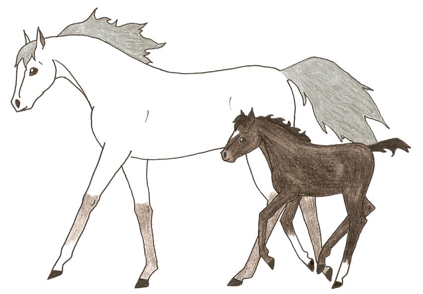 Arabian Mare and Foal by CrazySparkles06