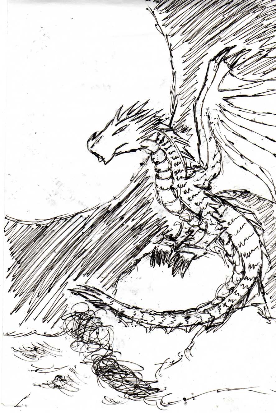 Dragon by CrazyxBear