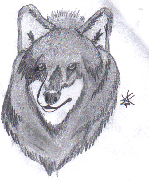 Wolf head by CrescentDragonDeity