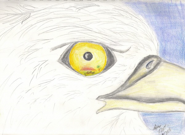 Eye of the eagle by CrimsonInHumanBlood