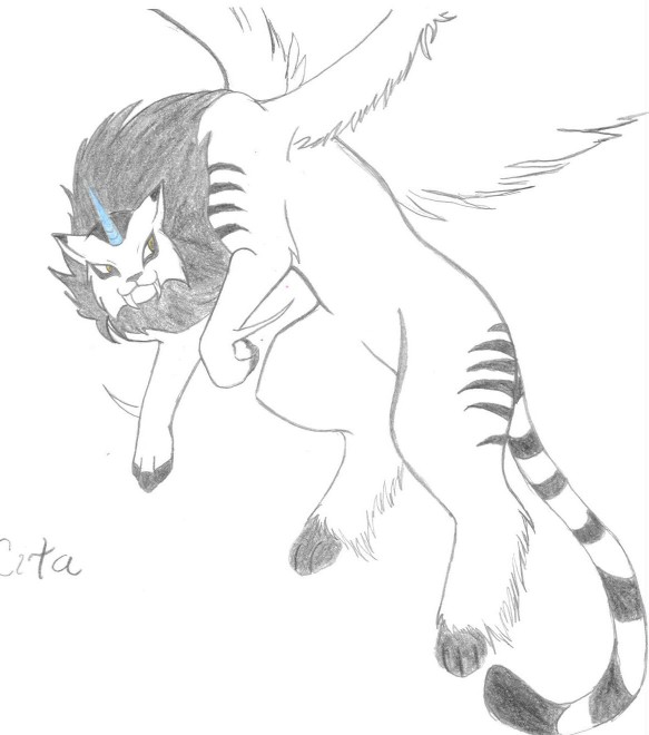 Cita for CatWhoHas14Tails by Crystal_fang