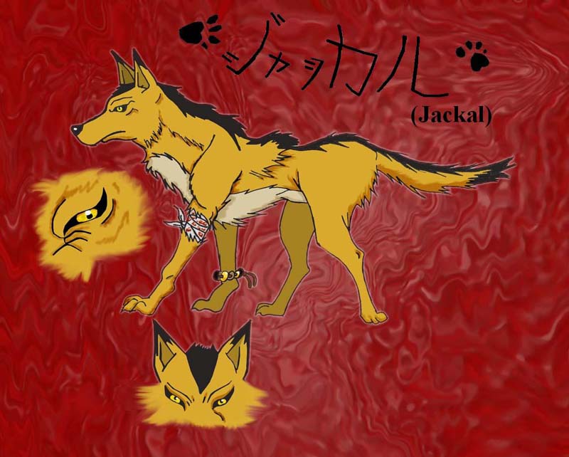 Jackal Wolf (OC Wolf's Rain) by Crystalvixon