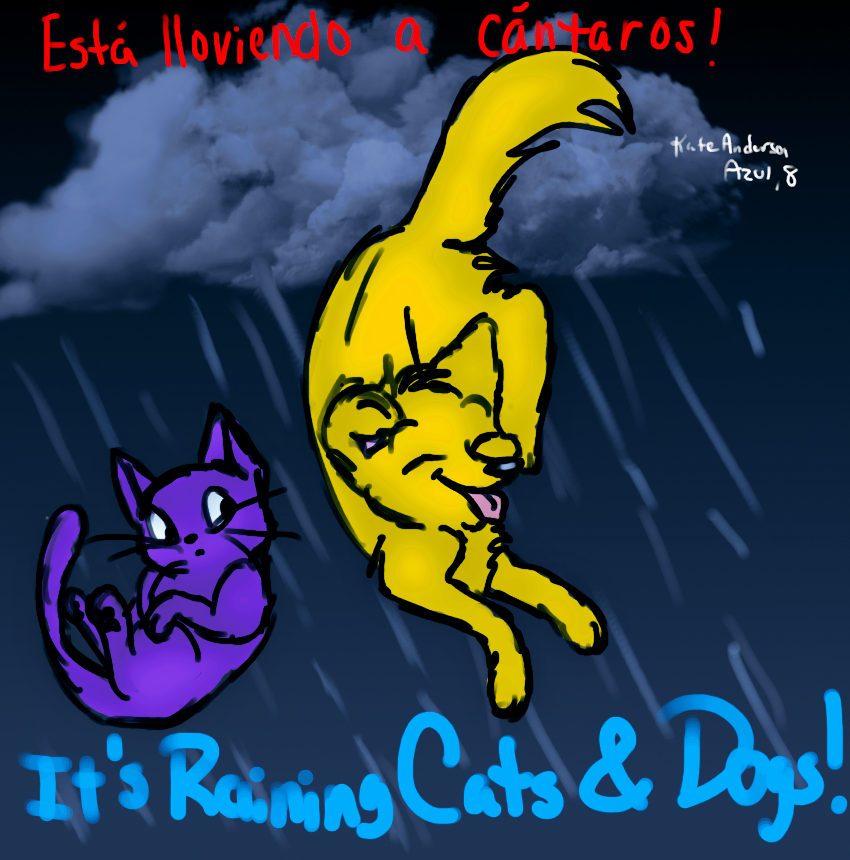 raining cats and dogs by CutieKat3