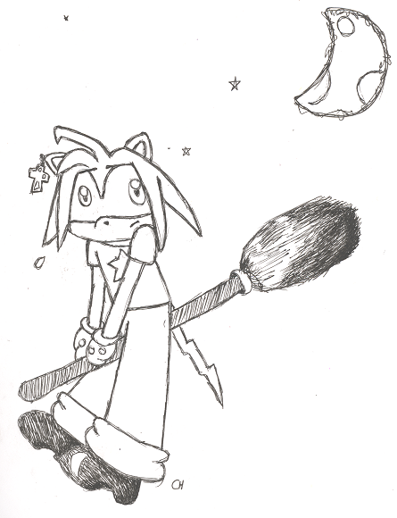 W33h its a BROOM by cappy1709