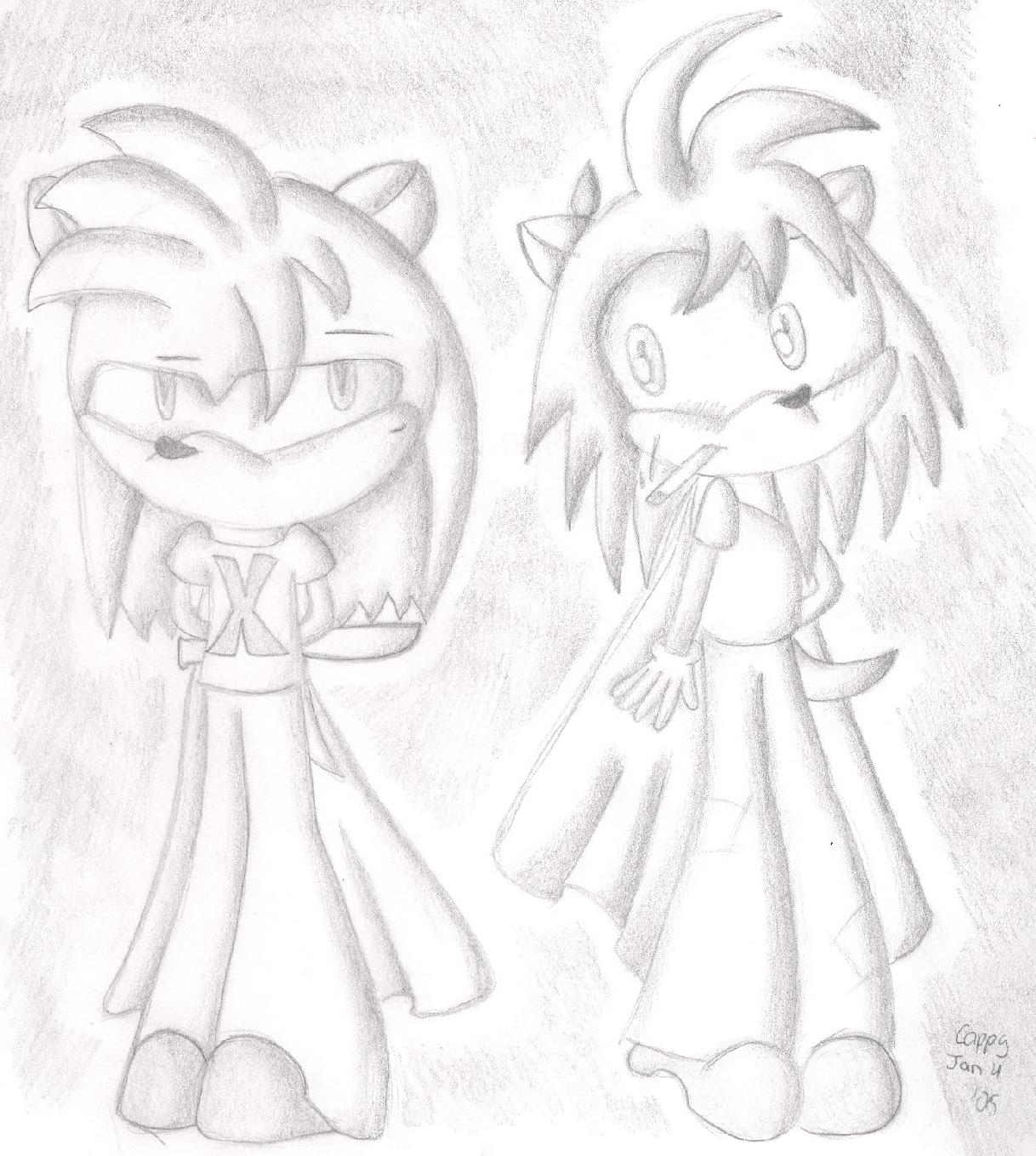 2 freaky hedgehogs in a really freaky dream I had by cappy1709