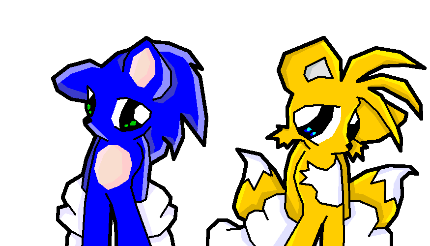 Sonic and Tails by cappy1709