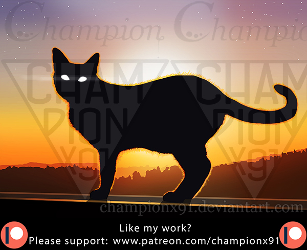 The Cat Of The Solar Eclipse by championx91