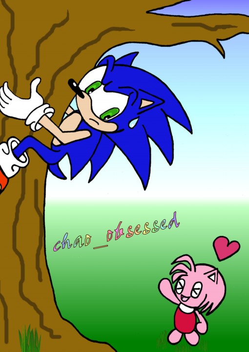 *Sonic_Riders_Freak request* by chao_obsessed