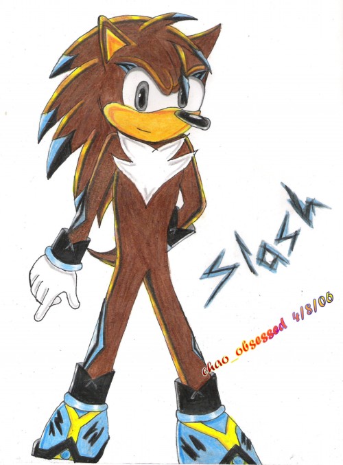 sonic_riders_freak request* Slash by chao_obsessed