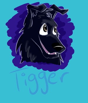 A Dog named Tigger by chebley
