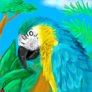 Macaw...or something like that by cherry_bubblegum